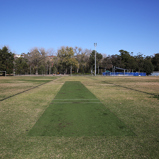 Steel Park cricket pitch